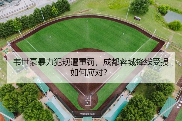 韦世豪暴力犯规遭重罚，成都蓉城锋线受损如何应对？